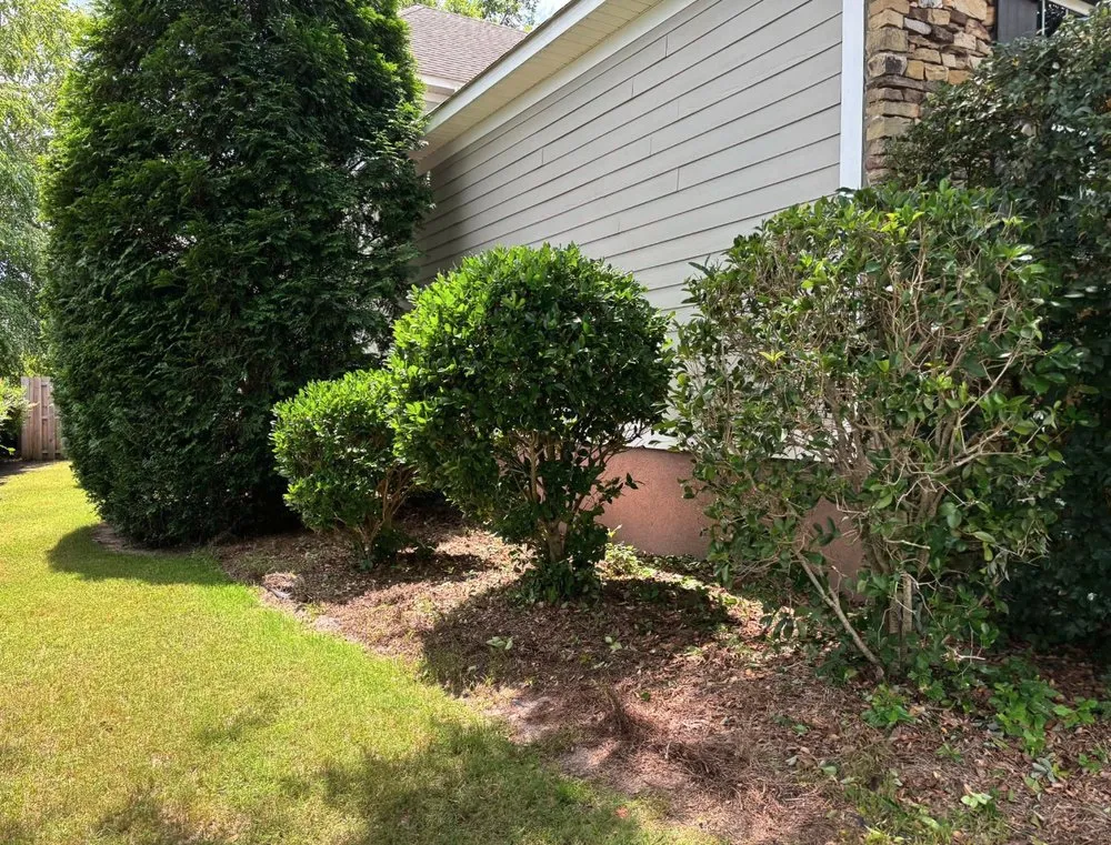 Trusted yard cleanup service in Windsor, SC by Green Horizon Property Services