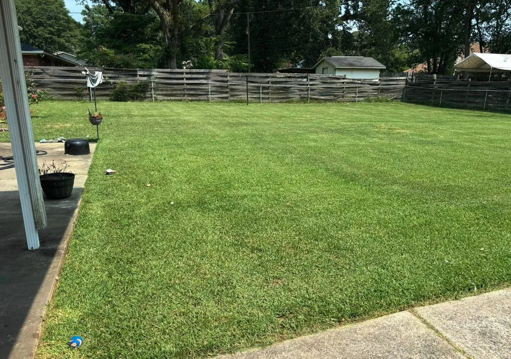 Reliable residential landscaping in Windsor, SC - Green Horizon Property Services