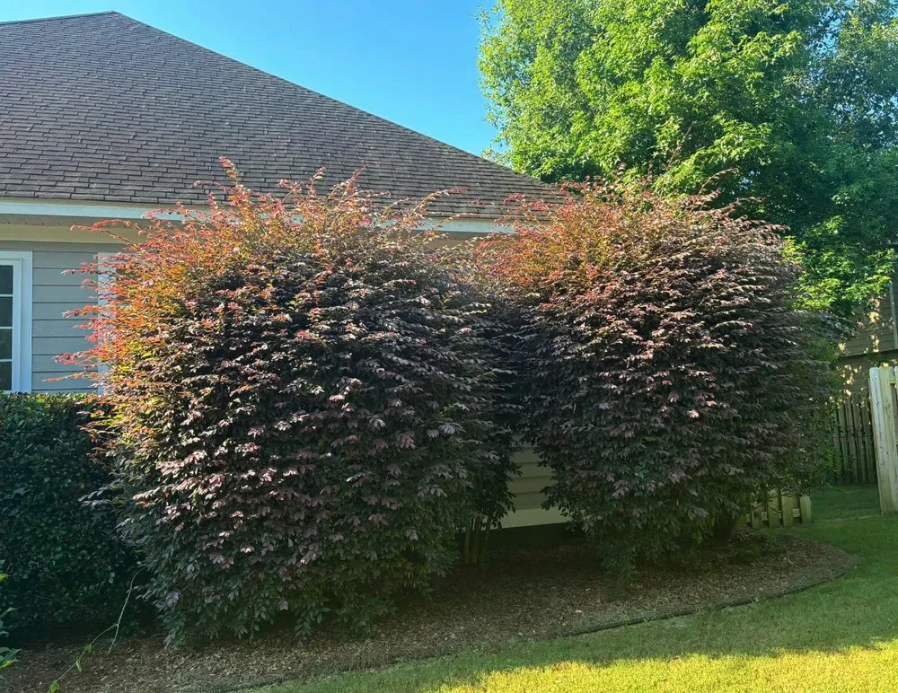 Trusted residential landscaping experts serving Windsor, SC - Green Horizon Property Services