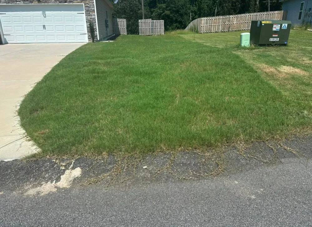 Local landscaping services experts serving Windsor, SC - Green Horizon Property Services
