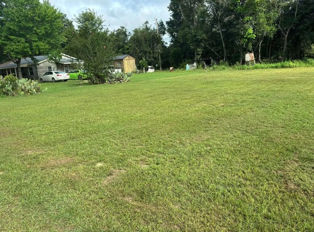 Custom lawn mowing service for outdoor upgrades in Windsor, SC by Green Horizon Property Services