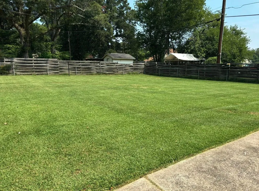 Professional yard maintenance for residential properties across Windsor, SC - Green Horizon Property Services