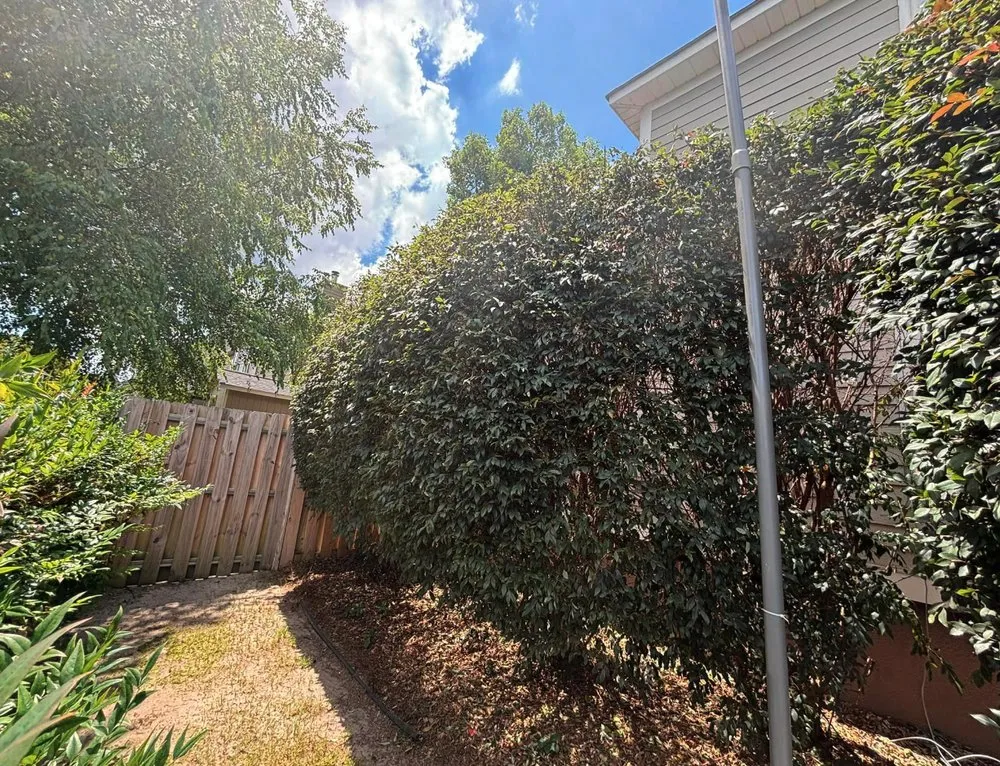 Trusted landscape installation in Windsor, SC - Green Horizon Property Services