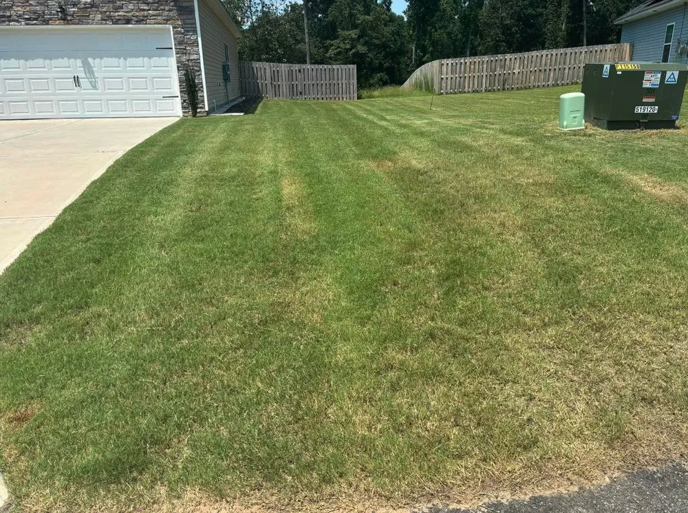 Top-rated lawn mowing service in Windsor, SC by Green Horizon Property Services