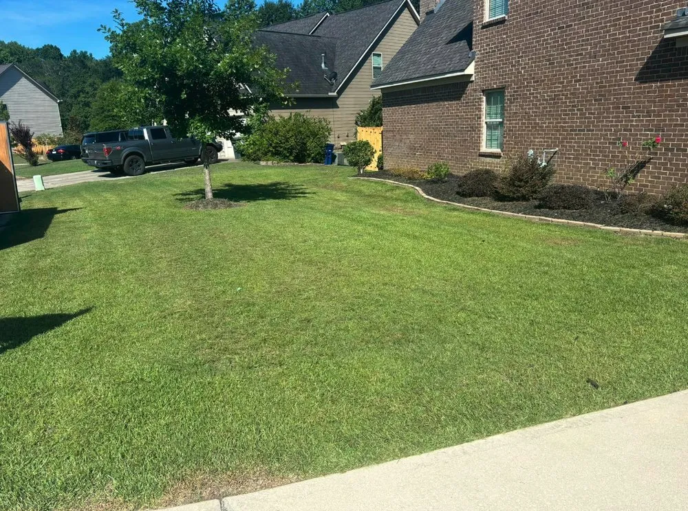 Expert lawn care service near you across Windsor, SC - Green Horizon Property Services