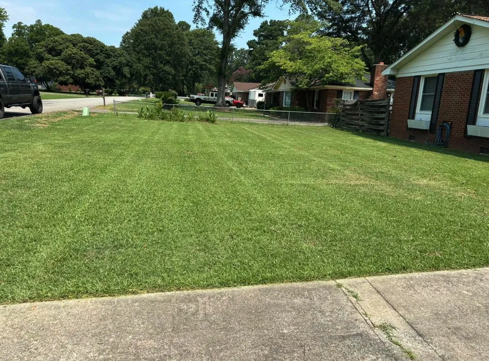 Professional yard cleanup service experts serving Windsor, SC - Green Horizon Property Services