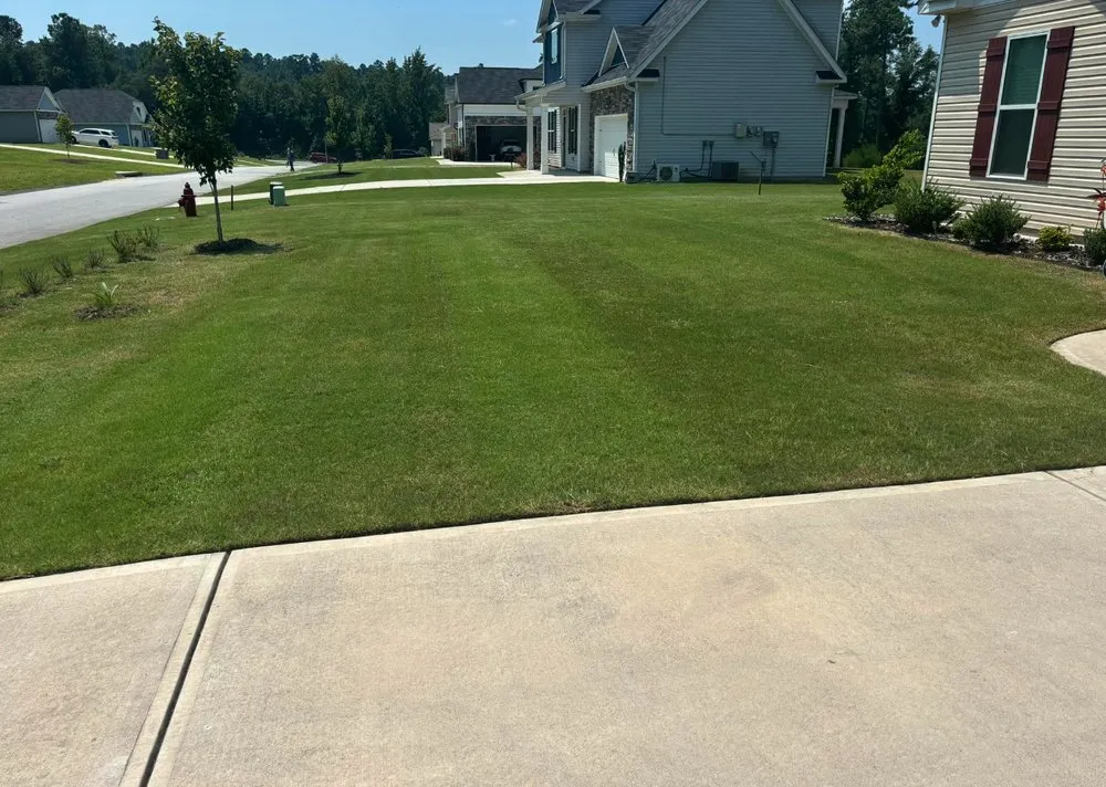 Expert outdoor landscaping experts serving Windsor, SC - Green Horizon Property Services