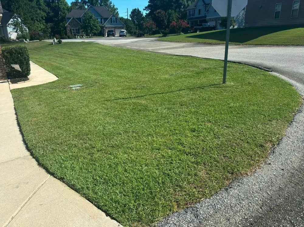 Expert outdoor landscaping for homes in Windsor, SC by Green Horizon Property Services