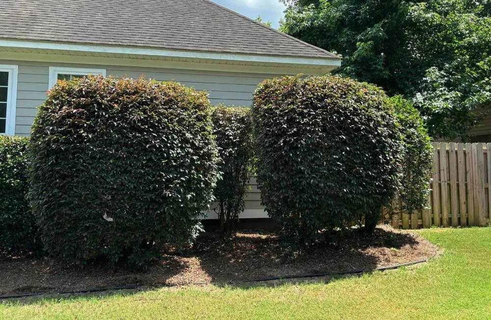 Top-rated landscaping services in Windsor, SC - Green Horizon Property Services