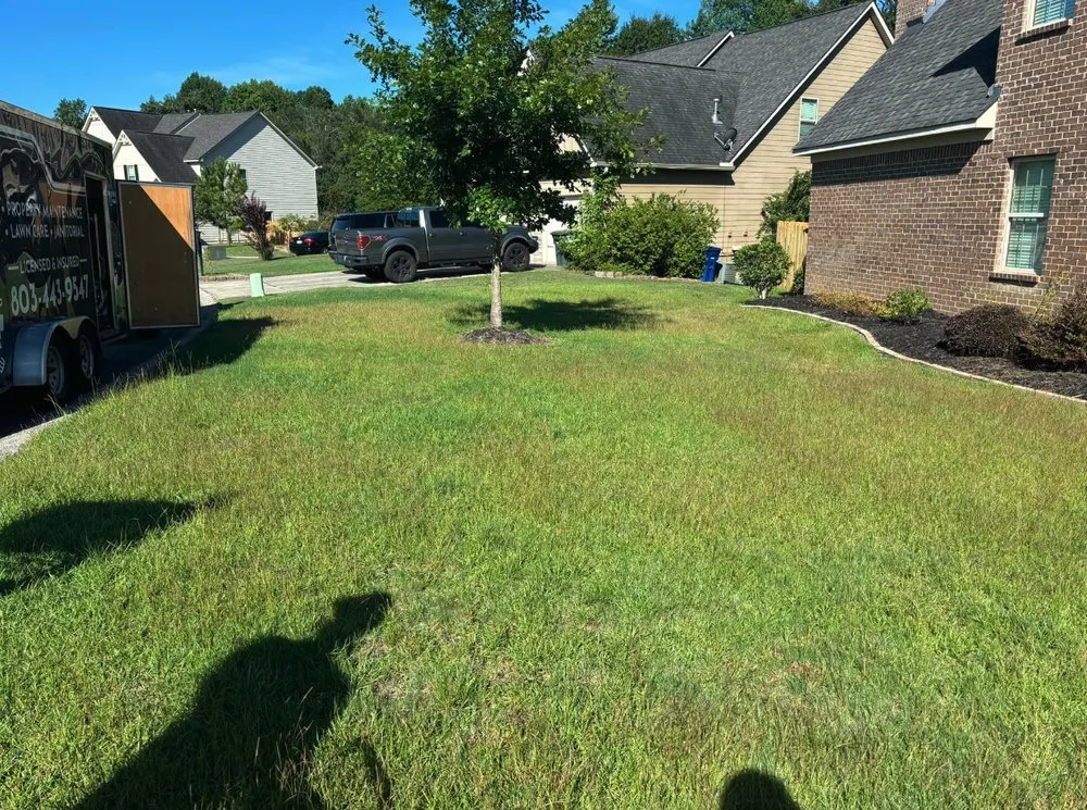 Expert landscape installation with custom design across Windsor, SC - Green Horizon Property Services