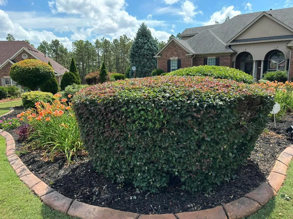 Reliable garden landscaping for outdoor upgrades across Windsor, SC - Green Horizon Property Services