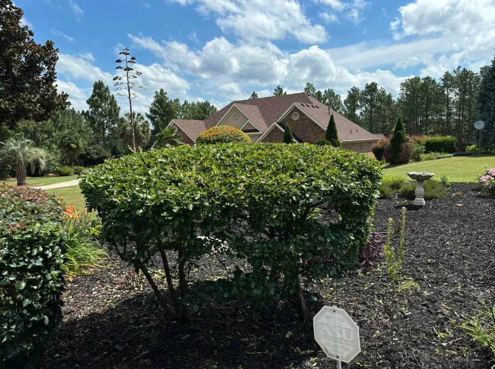 Reliable yard cleanup service for homes in Windsor, SC by Green Horizon Property Services
