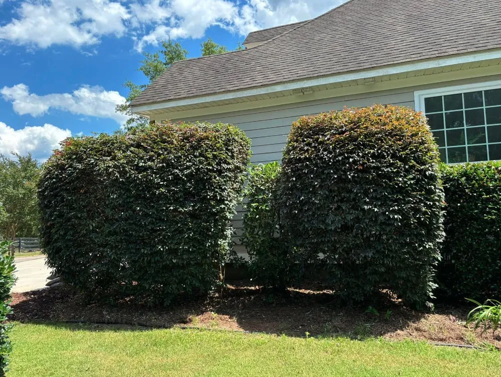 Affordable lawn mowing service for year-round maintenance across Windsor, SC - Green Horizon Property Services