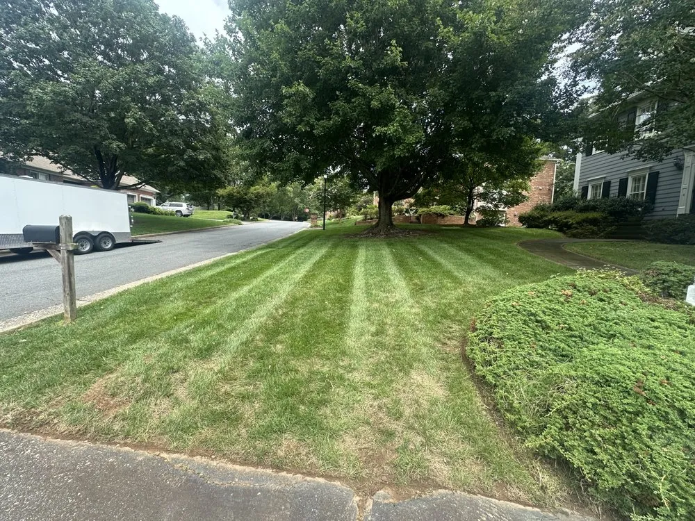 Custom outdoor landscaping in Winston-Salem, NC - Green Horizon Solutions