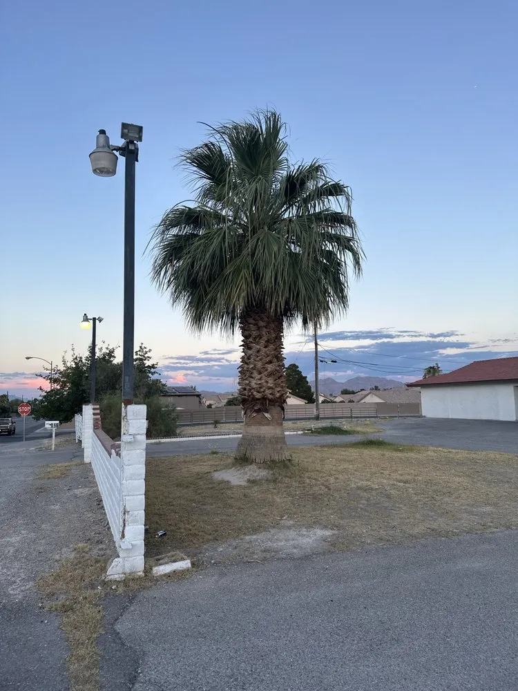 Custom landscape installation for homes across Las Vegas, NV - Green Horizon Tree And Landscape