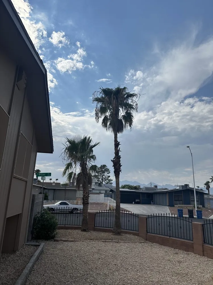 Top-rated lawn care service in Las Vegas, NV - Green Horizon Tree And Landscape