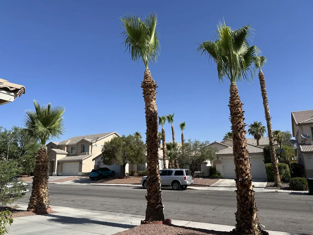 Expert landscaping services near you in Las Vegas, NV by Green Horizon Tree And Landscape