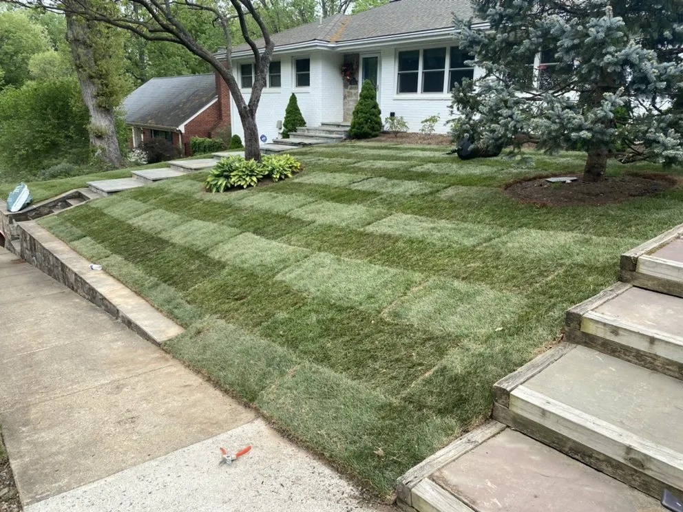 Local landscape design for residential properties in Arlington, VA by Green Horizons