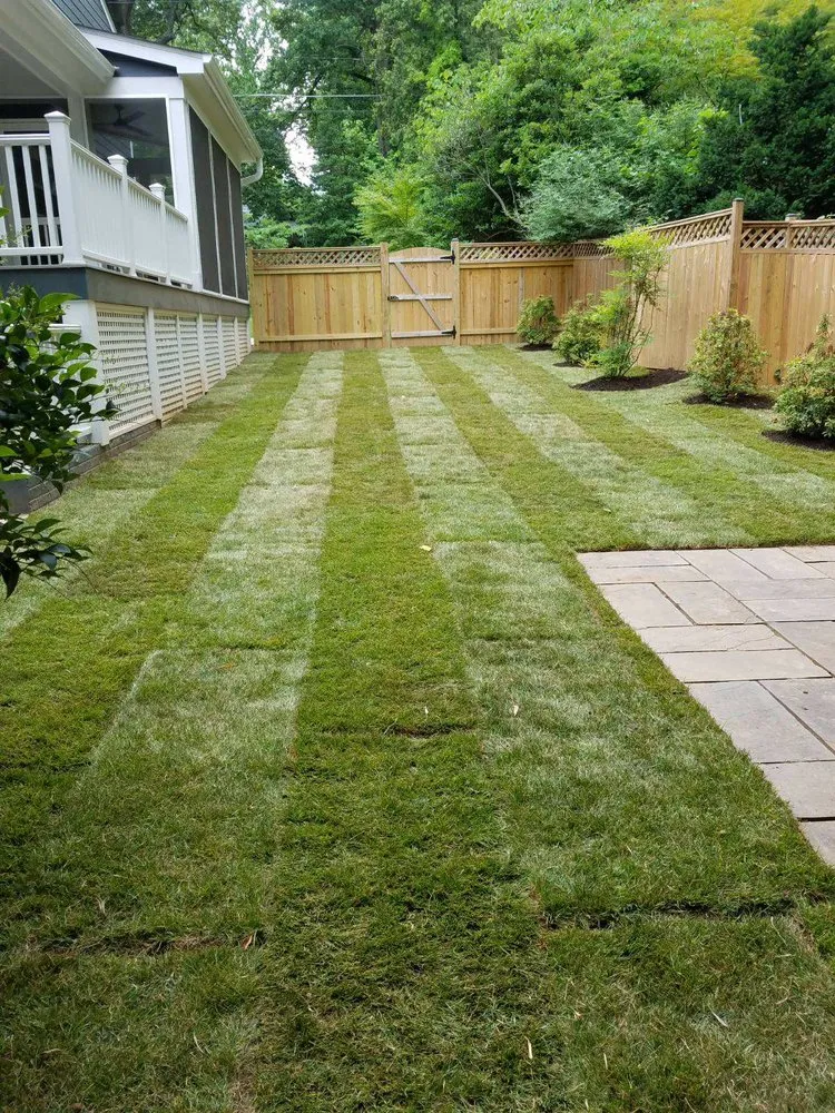Top-rated landscaping services in Arlington, VA by Green Horizons