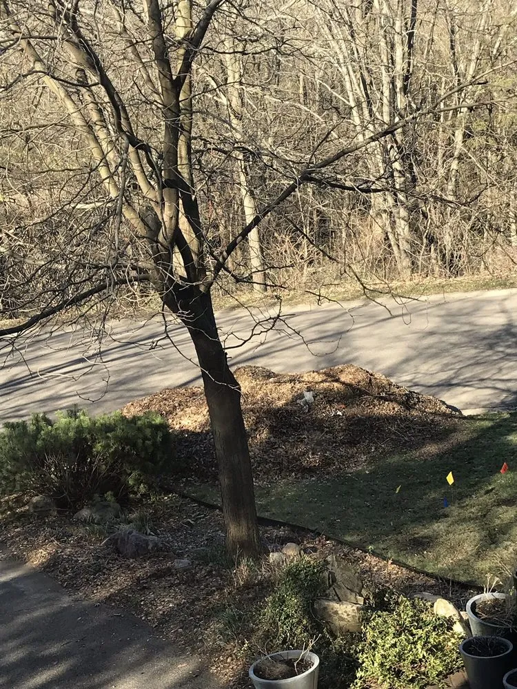 Reliable garden landscaping in Burnsville, MN by Green Horizons