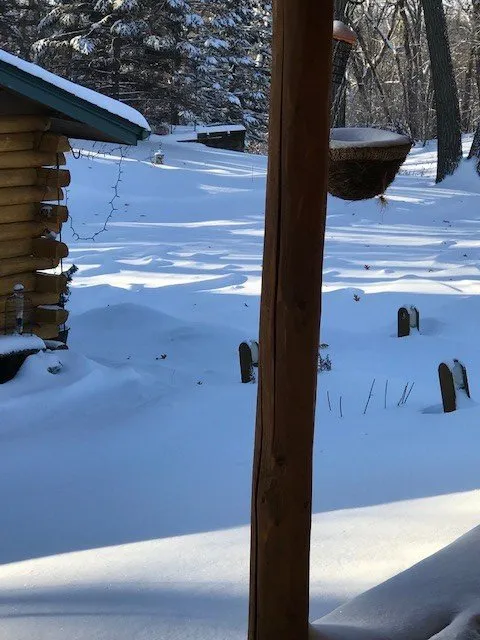 Local lawn care service for residential properties in Burnsville, MN by Green Horizons