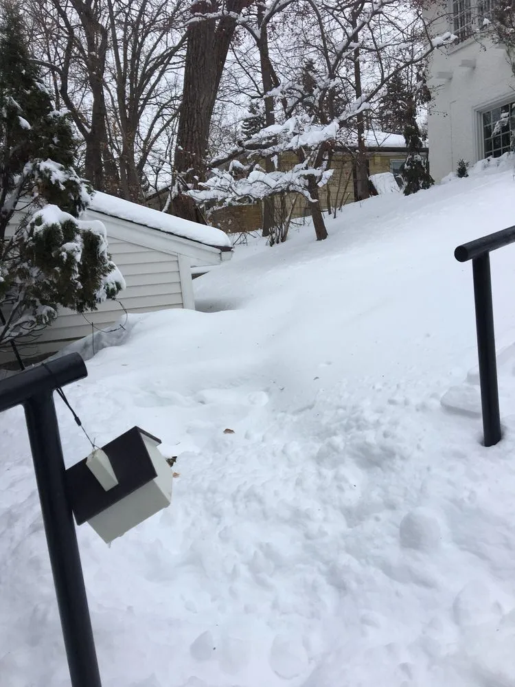 Top-rated lawn care service in Burnsville, MN by Green Horizons