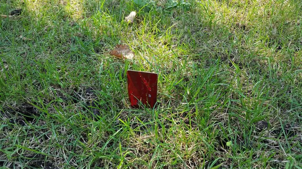 Reliable yard maintenance experts serving Burnsville, MN - Green Horizons