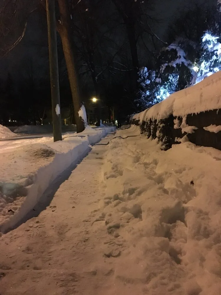 Top-rated yard cleanup service for beautiful yards across Burnsville, MN - Green Horizons