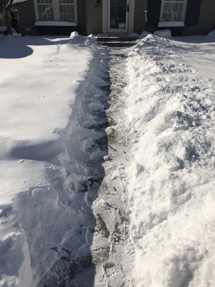 Expert lawn care service for outdoor upgrades across Burnsville, MN - Green Horizons