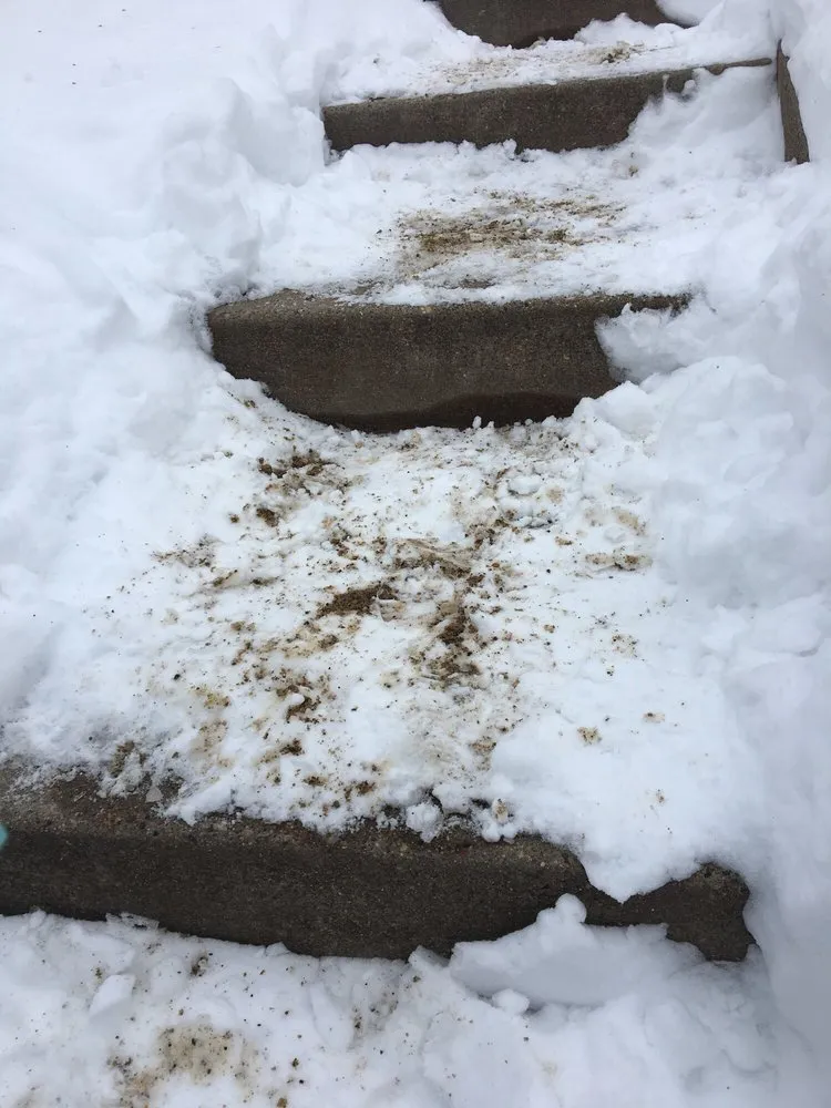 Custom yard maintenance in Burnsville, MN - Green Horizons