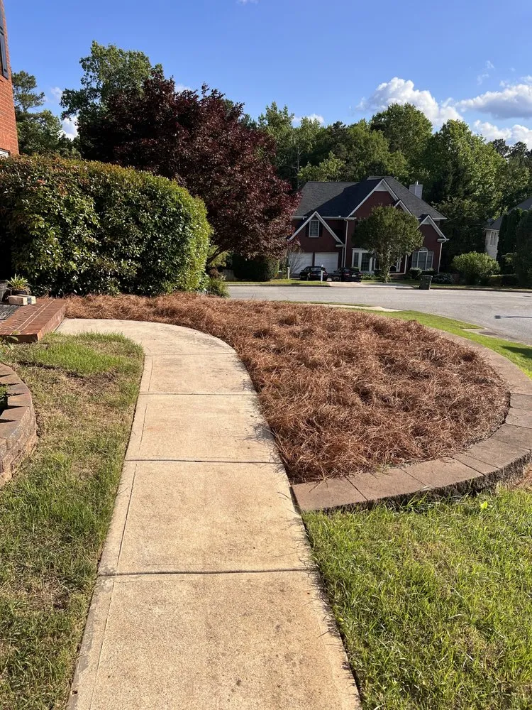 Affordable yard cleanup service experts serving Acworth, GA - Green Horizons Exterior and Landscaping Service