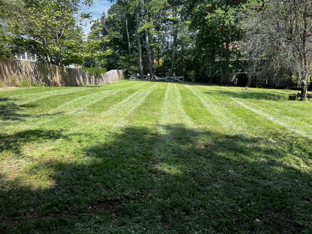Local yard maintenance in Acworth, GA by Green Horizons Exterior and Landscaping Service