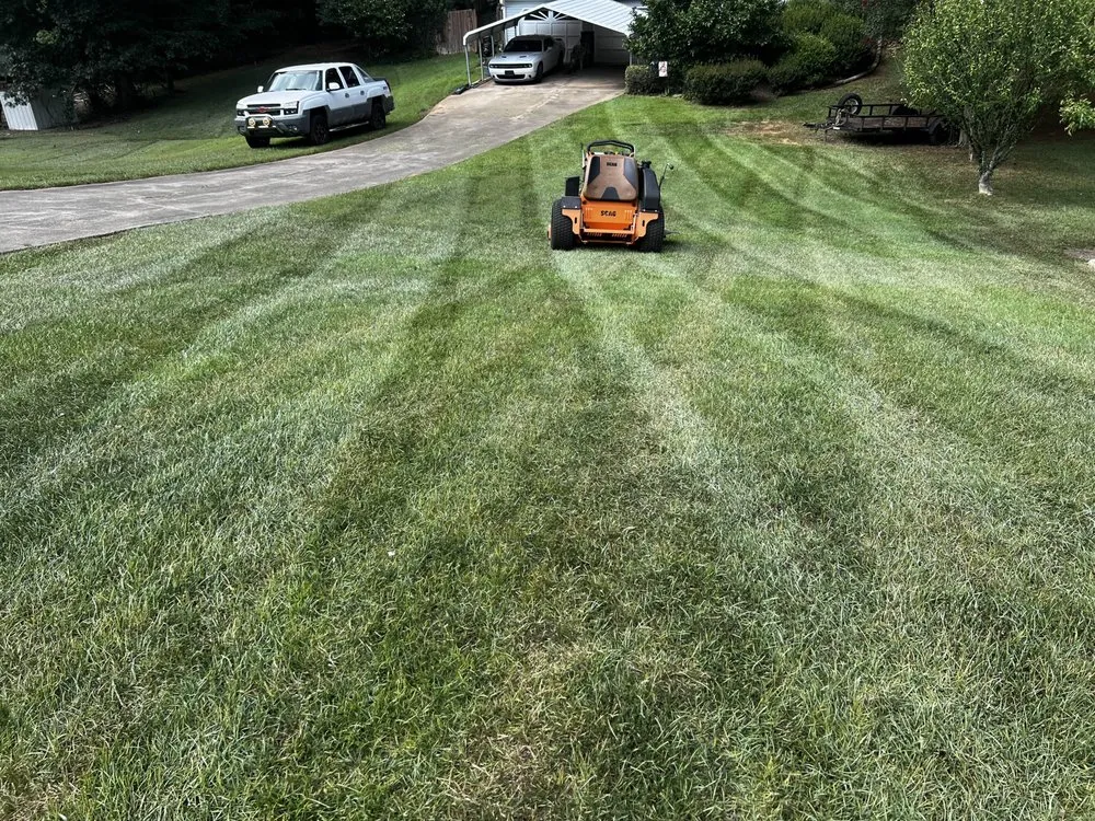 Top-rated outdoor landscaping for beautiful yards across Acworth, GA - Green Horizons Exterior and Landscaping Service