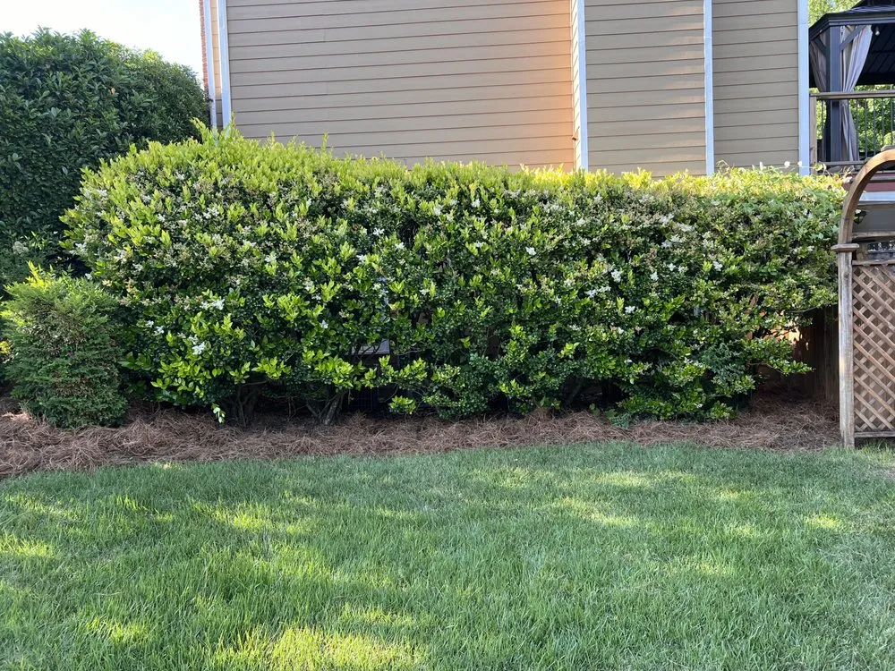 Top-rated residential landscaping for residential properties in Acworth, GA by Green Horizons Exterior and Landscaping Service