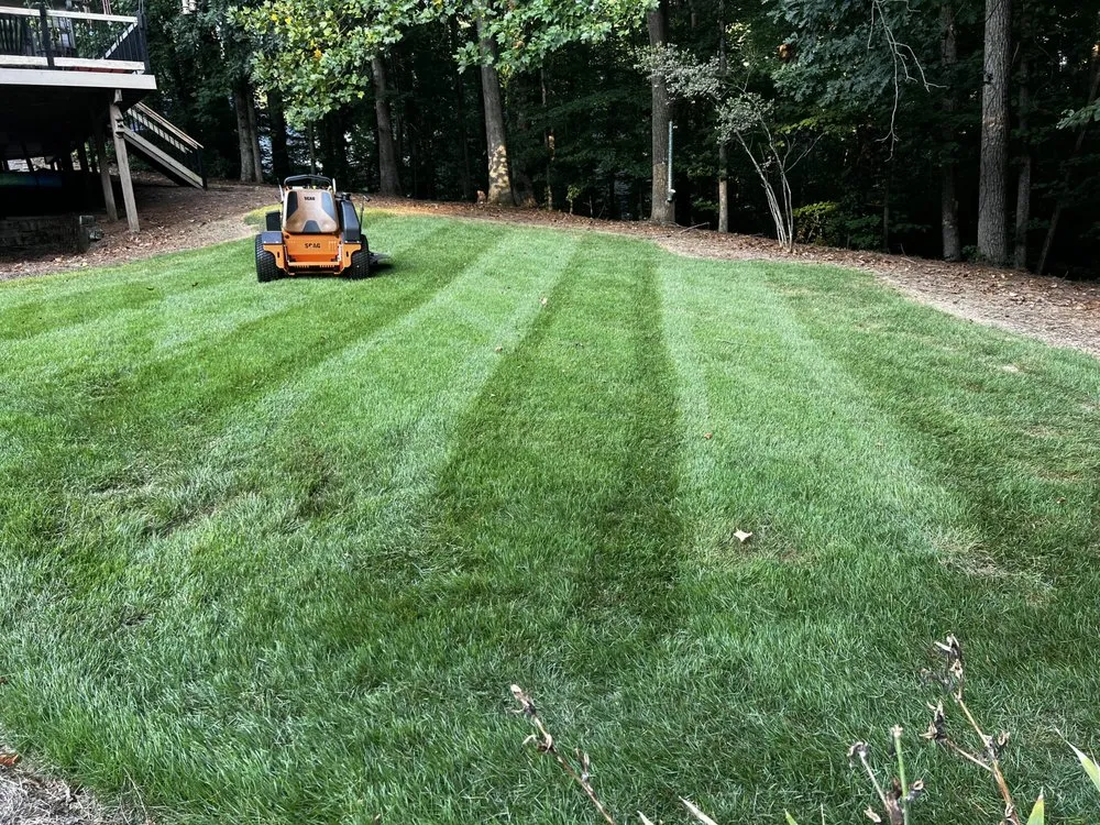 Expert yard cleanup service in Acworth, GA by Green Horizons Exterior and Landscaping Service