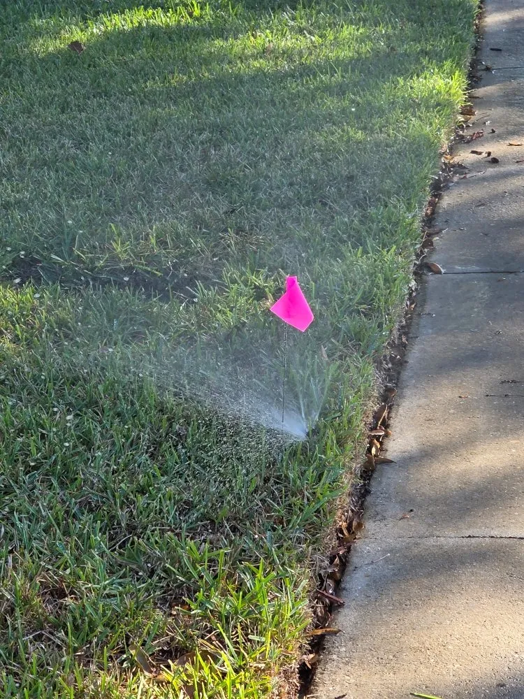 Affordable outdoor landscaping with custom design across LaBelle, FL - Green Horizons