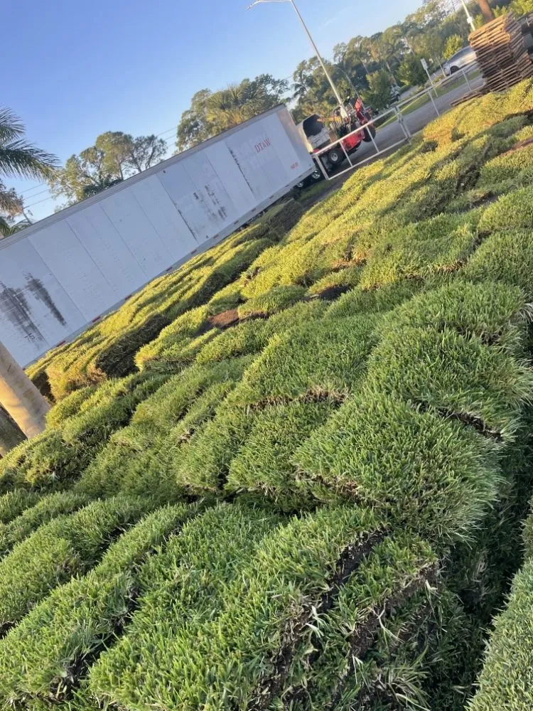 Reliable landscape design in LaBelle, FL - Green Horizons