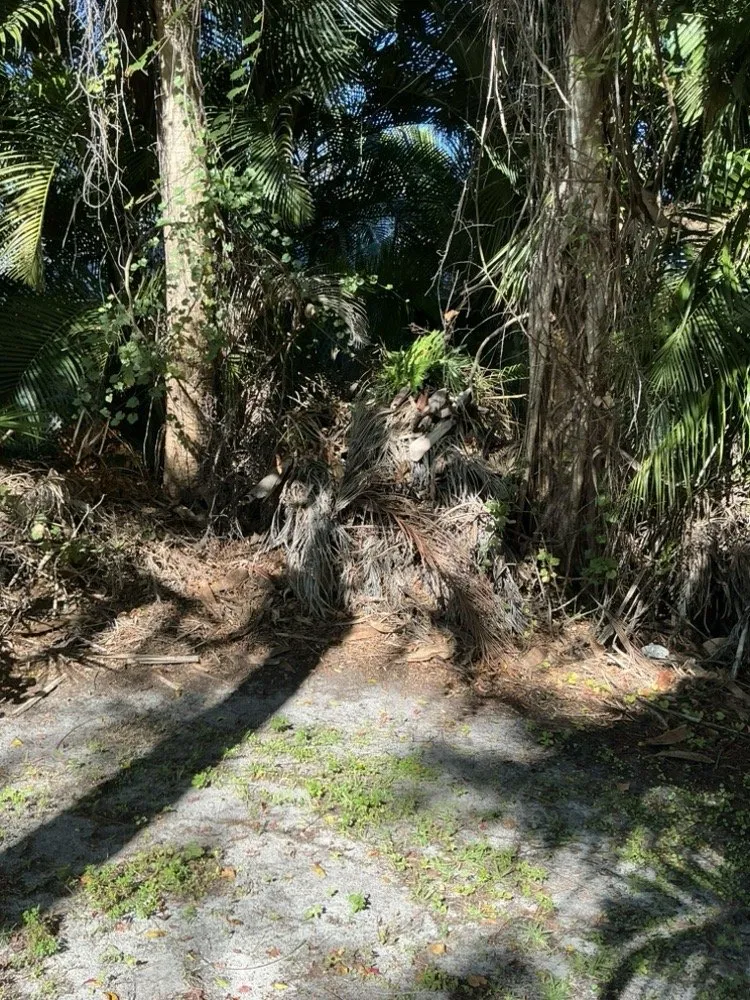 Professional lawn care service in LaBelle, FL - Green Horizons