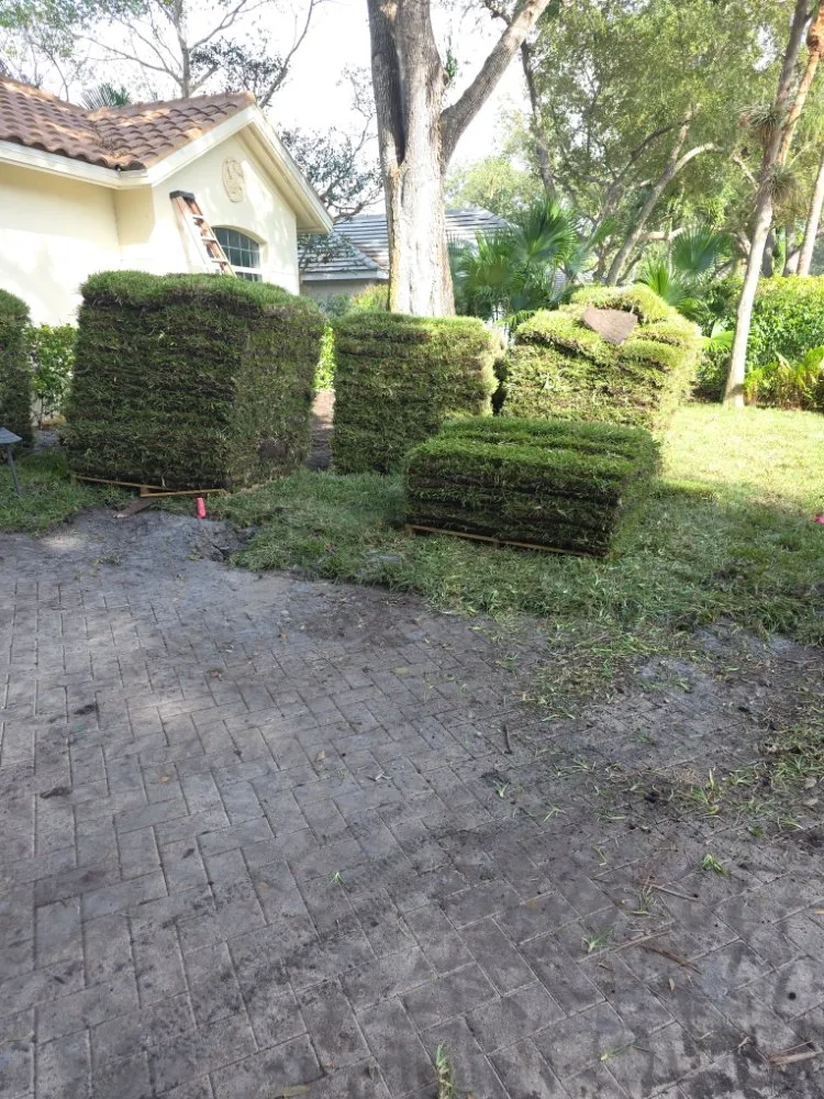 Affordable yard maintenance experts serving LaBelle, FL - Green Horizons