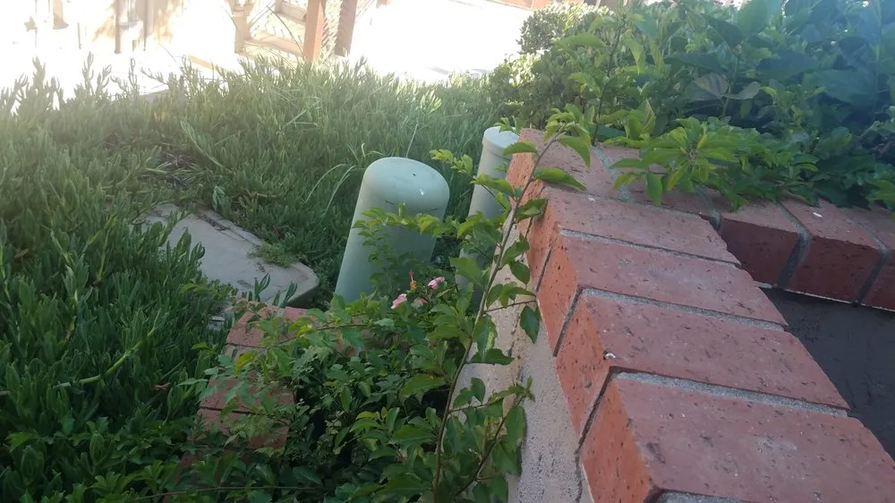 Top-rated yard cleanup service for year-round maintenance across Escondido, CA - Green Horizons Landscape Maintenance