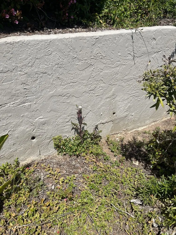 Trusted landscaping services experts serving Escondido, CA - Green Horizons Landscape Maintenance