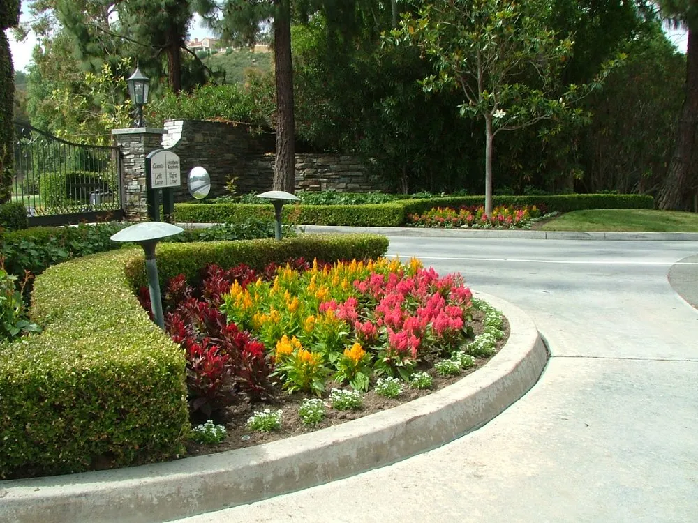 Reliable yard maintenance for residential properties across Escondido, CA - Green Horizons Landscape Maintenance