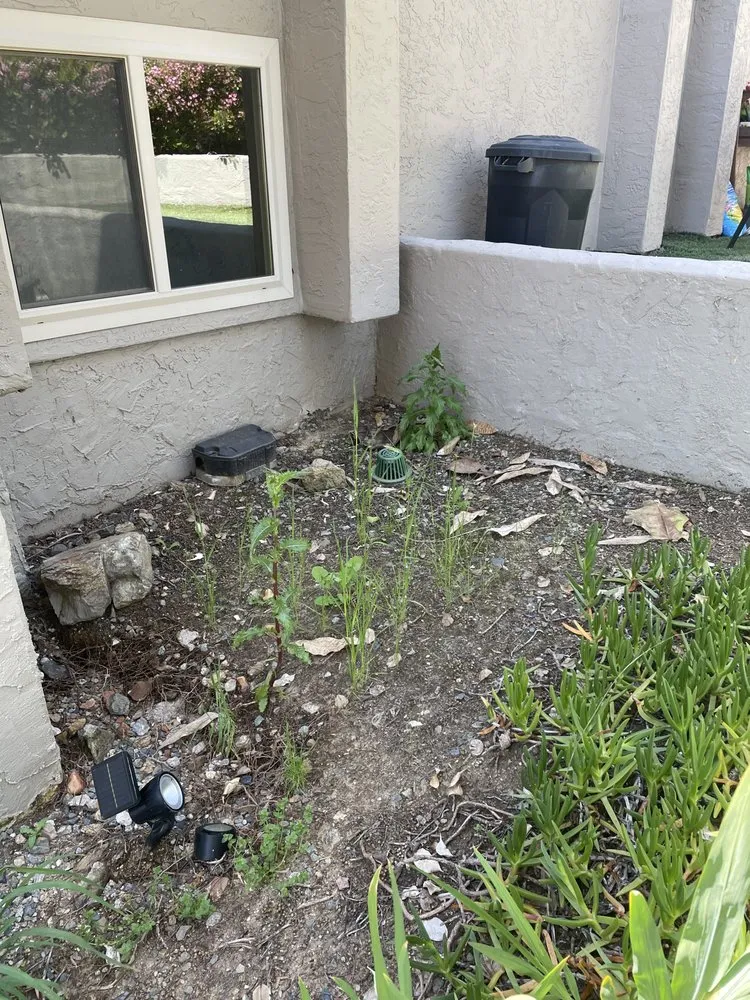 Trusted landscape design for beautiful yards in Escondido, CA by Green Horizons Landscape Maintenance