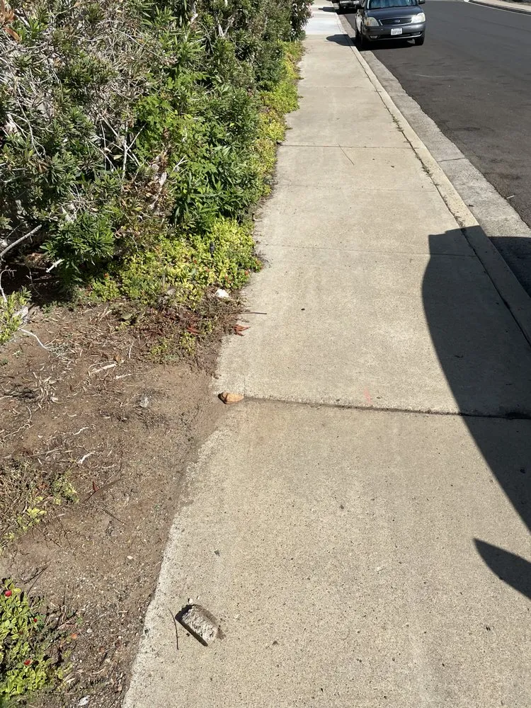 Expert outdoor landscaping near you in Escondido, CA by Green Horizons Landscape Maintenance