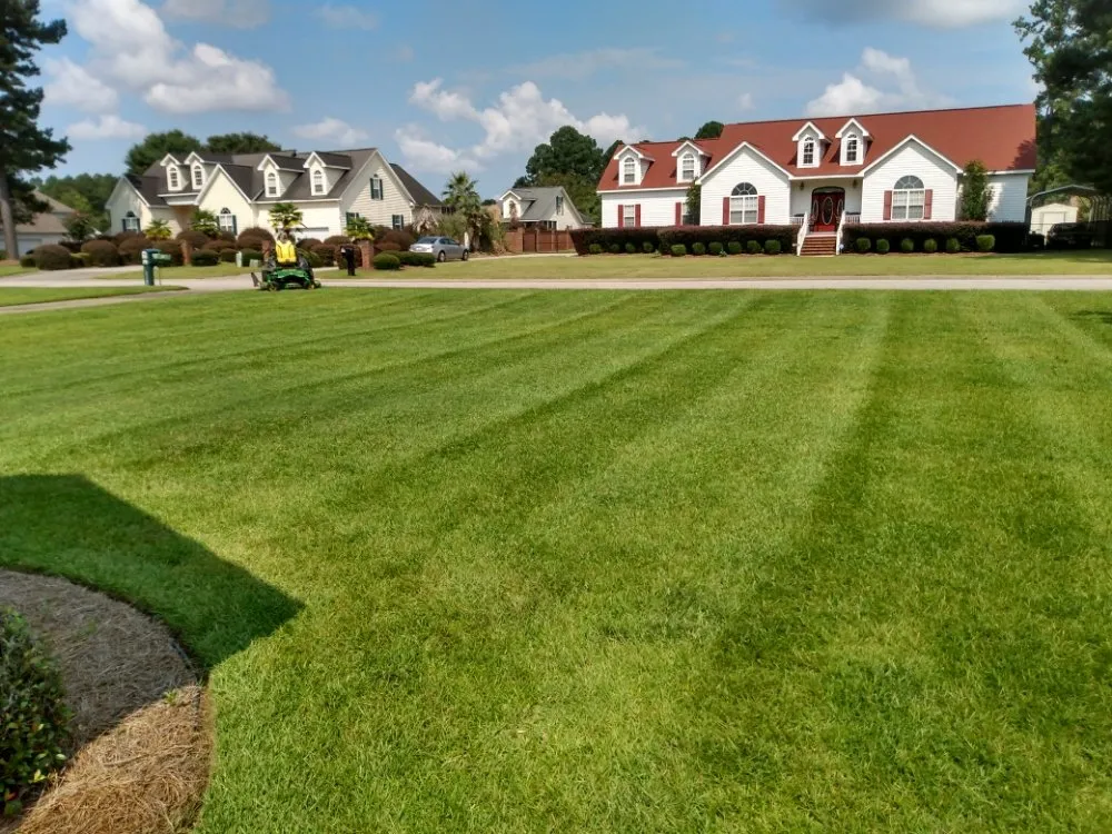 Affordable garden landscaping experts serving Saint Matthews, SC - Green Horizons Landscape