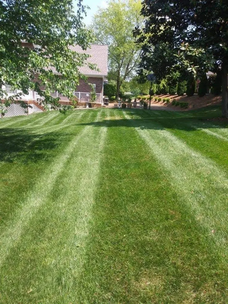 Expert yard maintenance for beautiful yards in Saint Matthews, SC by Green Horizons Landscape