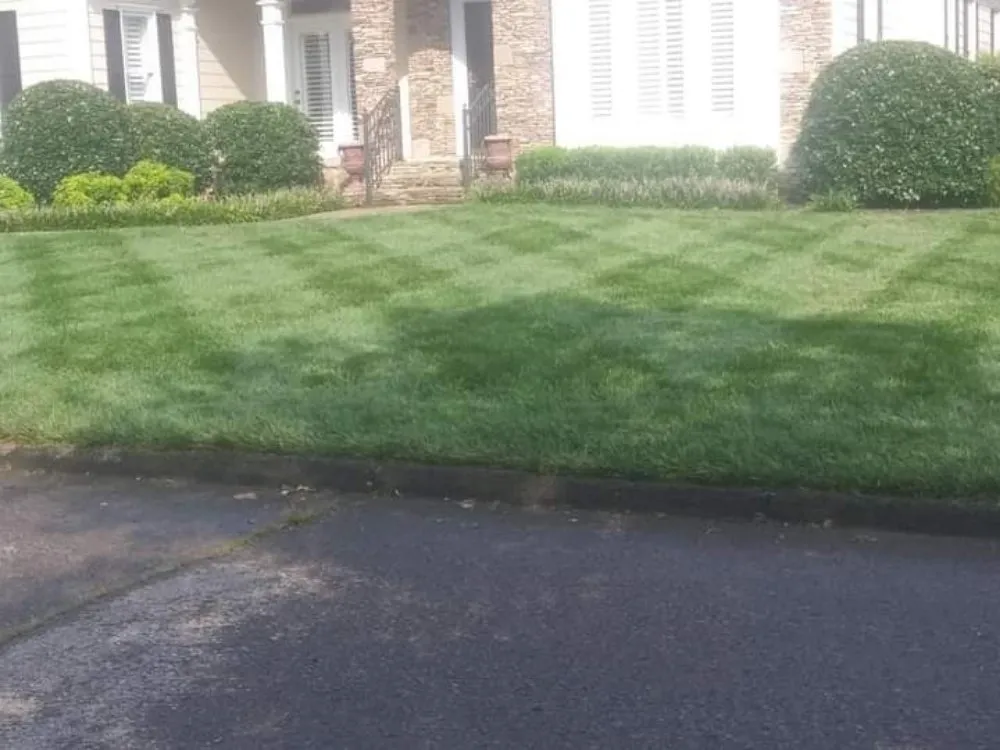 Custom residential landscaping experts serving Saint Matthews, SC - Green Horizons Landscape