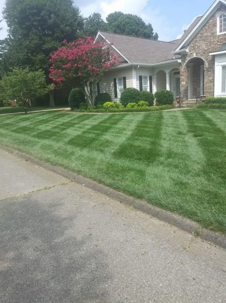 Trusted yard cleanup service for beautiful yards across Saint Matthews, SC - Green Horizons Landscape