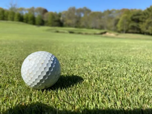 Green Horizons Turf Logo