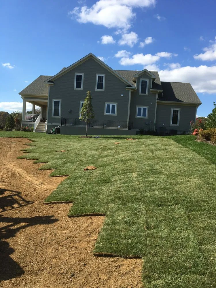 Top-rated outdoor landscaping in Kearneysville, WV - Green Horizons Turf Farm